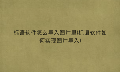 “标语软件怎么导入图片里(标语软件如何实现图片导入)