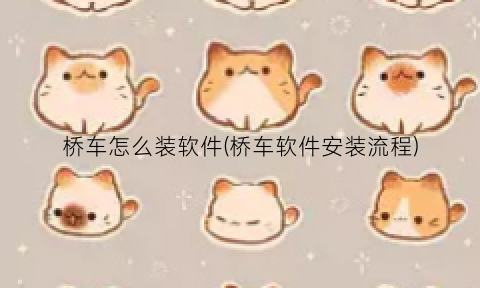 桥车怎么装软件(桥车软件安装流程)