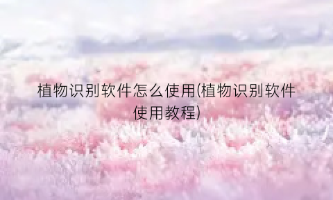 植物识别软件怎么使用(植物识别软件使用教程)