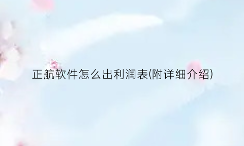 “正航软件怎么出利润表(附详细介绍)
