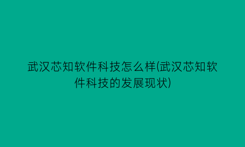 “武汉芯知软件科技怎么样(武汉芯知软件科技的发展现状)