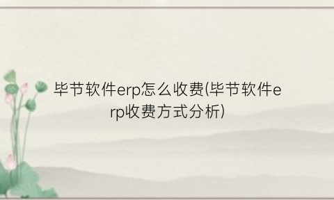 “毕节软件erp怎么收费(毕节软件erp收费方式分析)