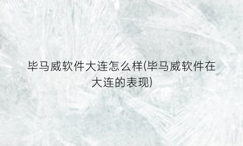 “毕马威软件大连怎么样(毕马威软件在大连的表现)