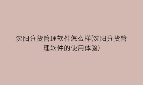 沈阳分货管理软件怎么样(沈阳分货管理软件的使用体验)