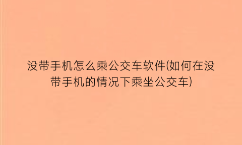 “没带手机怎么乘公交车软件(如何在没带手机的情况下乘坐公交车)