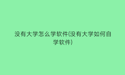 没有大学怎么学软件(没有大学如何自学软件)