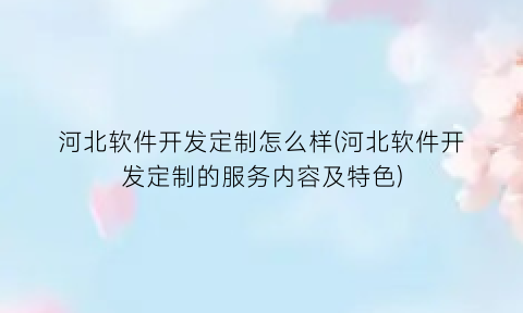 “河北软件开发定制怎么样(河北软件开发定制的服务内容及特色)