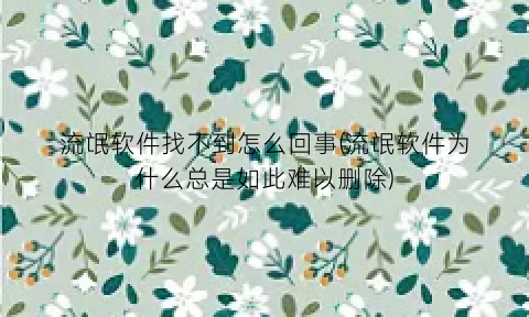流氓软件找不到怎么回事(流氓软件为什么总是如此难以删除)
