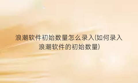 “浪潮软件初始数量怎么录入(如何录入浪潮软件的初始数量)