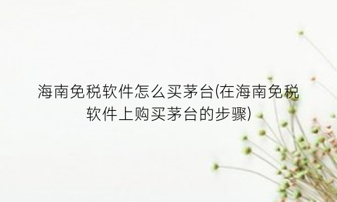 海南免税软件怎么买茅台(在海南免税软件上购买茅台的步骤)