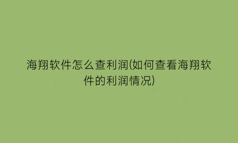 海翔软件怎么查利润(如何查看海翔软件的利润情况)