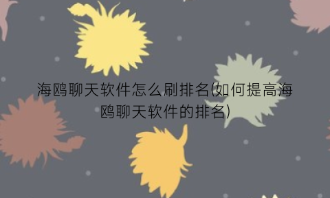 “海鸥聊天软件怎么刷排名(如何提高海鸥聊天软件的排名)
