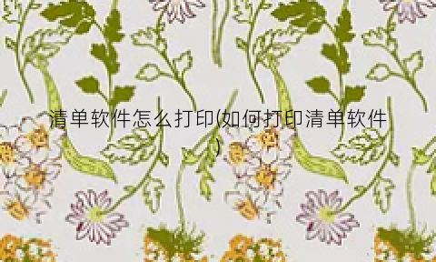 “清单软件怎么打印(如何打印清单软件)