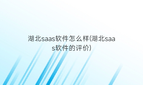 “湖北saas软件怎么样(湖北saas软件的评价)