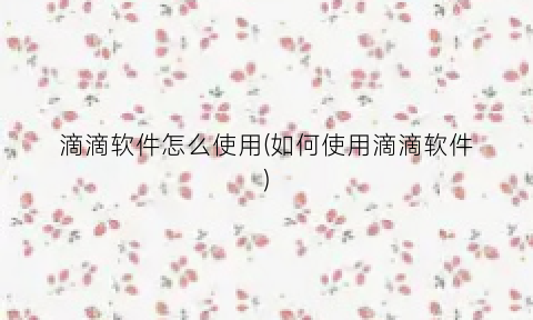 “滴滴软件怎么使用(如何使用滴滴软件)
