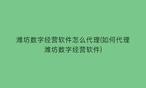 潍坊数字经营软件怎么代理(如何代理潍坊数字经营软件)