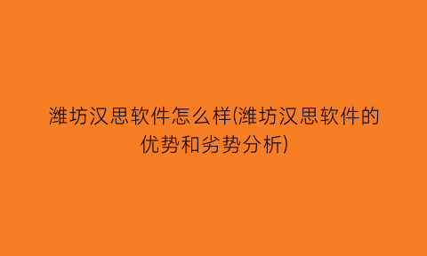 潍坊汉思软件怎么样(潍坊汉思软件的优势和劣势分析)