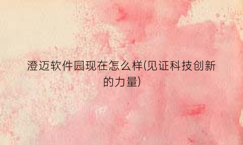 “澄迈软件园现在怎么样(见证科技创新的力量)