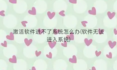 “激活软件进不了系统怎么办(软件无法进入系统)