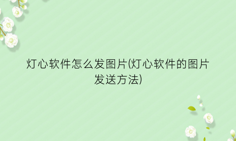“灯心软件怎么发图片(灯心软件的图片发送方法)