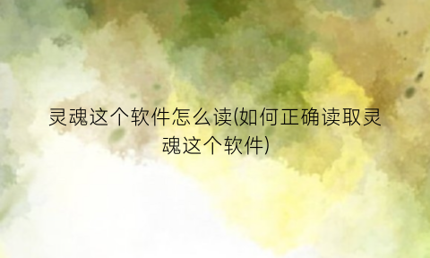 “灵魂这个软件怎么读(如何正确读取灵魂这个软件)