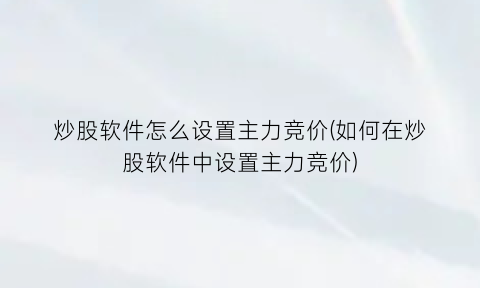 炒股软件怎么设置主力竞价(如何在炒股软件中设置主力竞价)