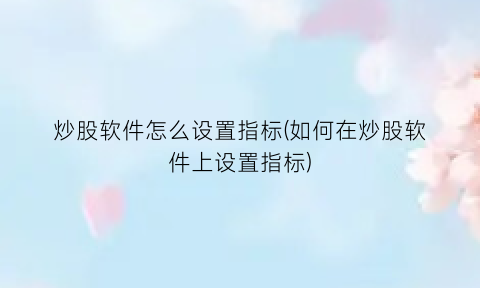 “炒股软件怎么设置指标(如何在炒股软件上设置指标)