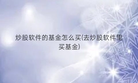 炒股软件的基金怎么买(去炒股软件里买基金)