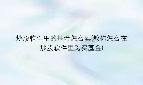 “炒股软件里的基金怎么买(教你怎么在炒股软件里购买基金)