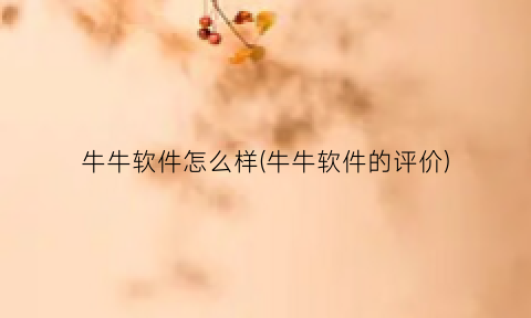 “牛牛软件怎么样(牛牛软件的评价)