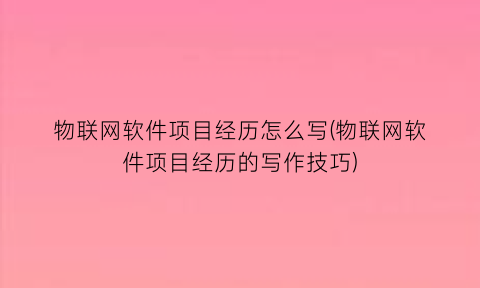 物联网软件项目经历怎么写(物联网软件项目经历的写作技巧)