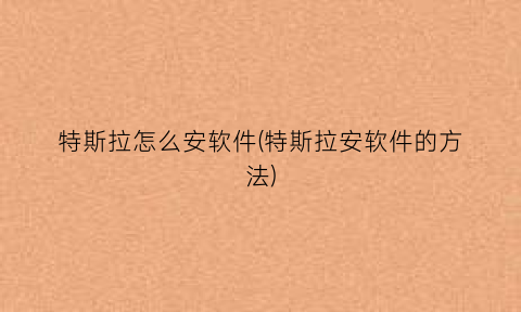 “特斯拉怎么安软件(特斯拉安软件的方法)