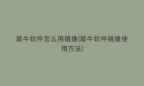 犀牛软件怎么用镜像(犀牛软件镜像使用方法)