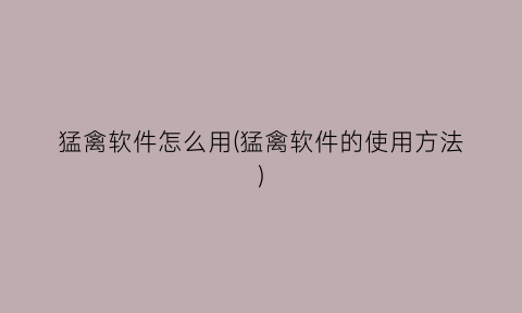 猛禽软件怎么用(猛禽软件的使用方法)
