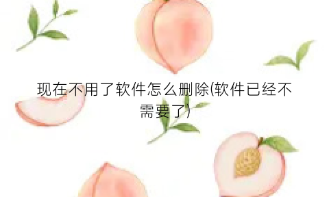 现在不用了软件怎么删除(软件已经不需要了)