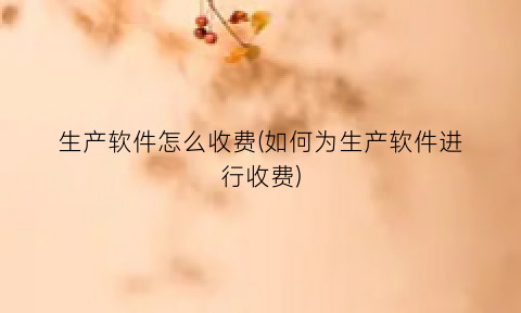 生产软件怎么收费(如何为生产软件进行收费)