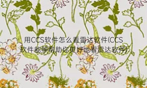 用CCS软件怎么看雷达软件(CCS软件能够帮助你更好地看雷达软件)