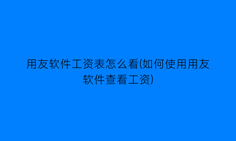 用友软件工资表怎么看(如何使用用友软件查看工资)