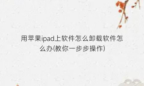 “用苹果ipad上软件怎么卸载软件怎么办(教你一步步操作)