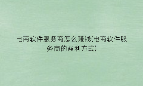 “电商软件服务商怎么赚钱(电商软件服务商的盈利方式)