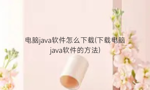 电脑java软件怎么下载(下载电脑java软件的方法)