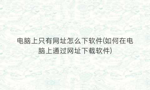 电脑上只有网址怎么下软件(如何在电脑上通过网址下载软件)