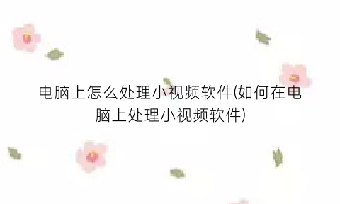 电脑上怎么处理小视频软件(如何在电脑上处理小视频软件)