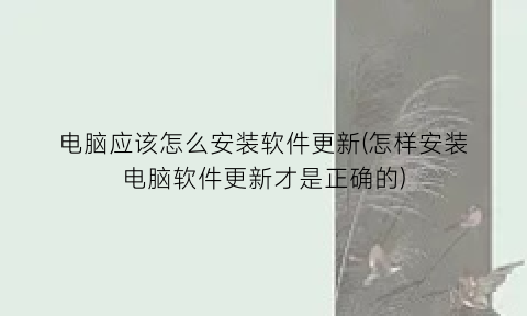 “电脑应该怎么安装软件更新(怎样安装电脑软件更新才是正确的)