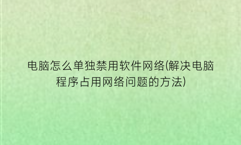 电脑怎么单独禁用软件网络(解决电脑程序占用网络问题的方法)