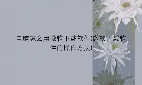 电脑怎么用微软下载软件(微软下载软件的操作方法)