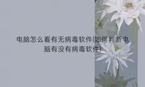 电脑怎么看有无病毒软件(如何判断电脑有没有病毒软件)