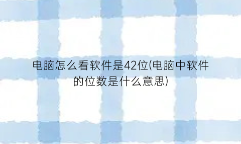 电脑怎么看软件是42位(电脑中软件的位数是什么意思)