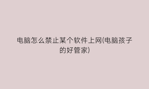 “电脑怎么禁止某个软件上网(电脑孩子的好管家)