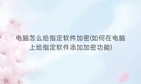 “电脑怎么给指定软件加密(如何在电脑上给指定软件添加加密功能)